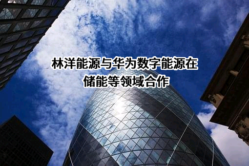 江苏林洋能源股份有限公司