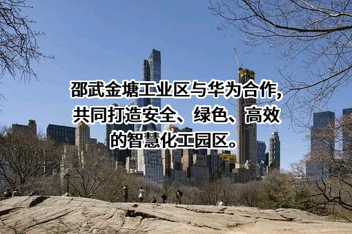 华为技术有限公司