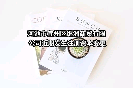 河池市宜州区继洲商贸有限公司
