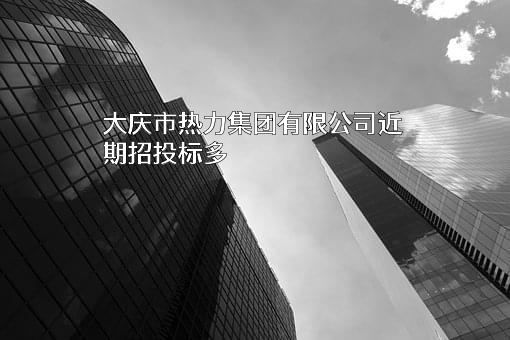 大庆市热力集团有限公司