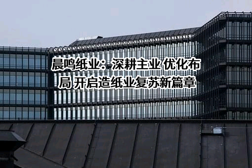 山东晨鸣纸业集团股份有限公司