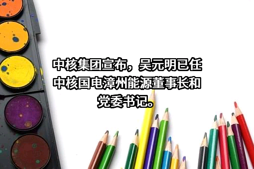 中核国电漳州能源有限公司