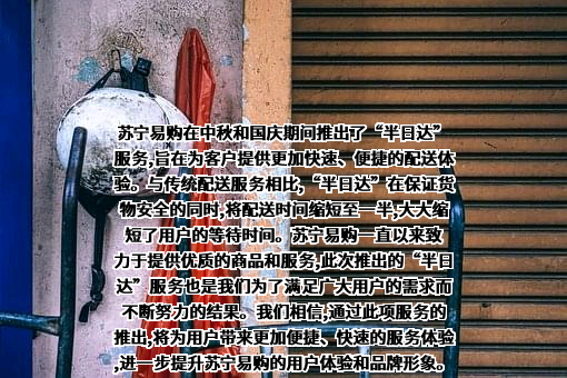 苏宁易购集团股份有限公司