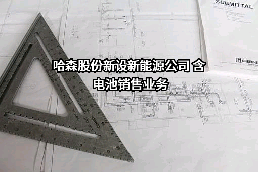 哈森商贸（中国）股份有限公司