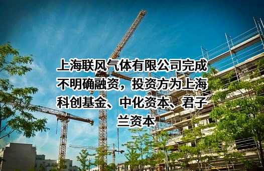 上海联风气体有限公司