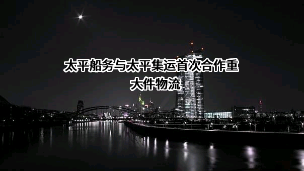 太平船务（中国）有限公司