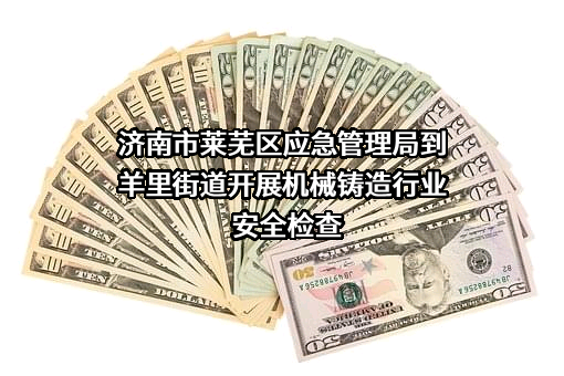 济南市莱芜区应急管理局