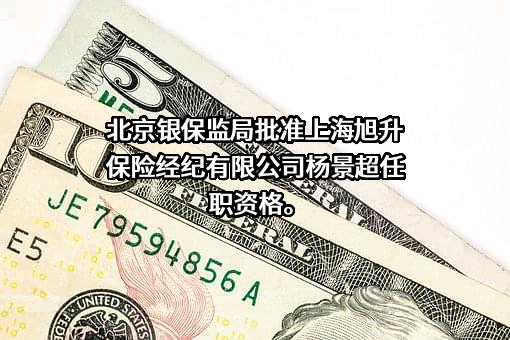 上海旭升保险经纪有限公司