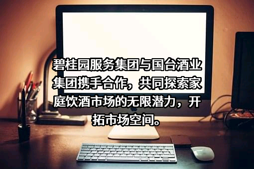 碧桂园控股有限公司