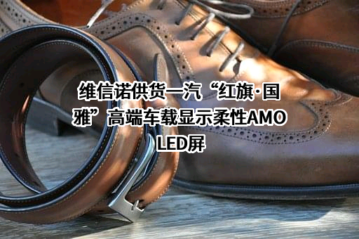 维信诺科技股份有限公司