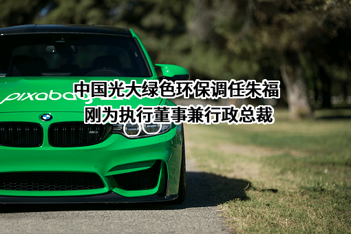 中国光大绿色环保有限公司
