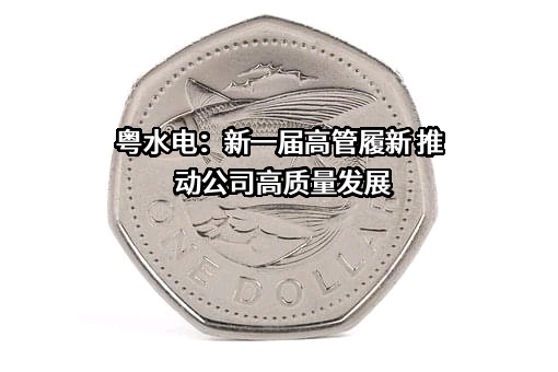 广东水电二局股份有限公司