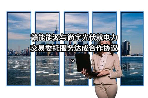 江西赣能能源服务有限公司