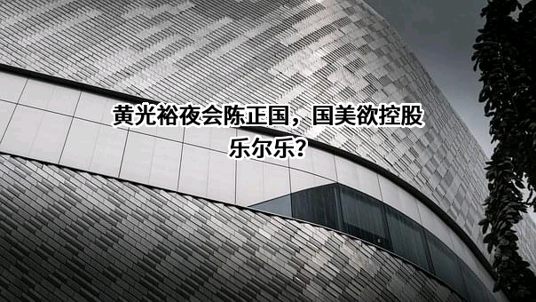国美控股集团有限公司