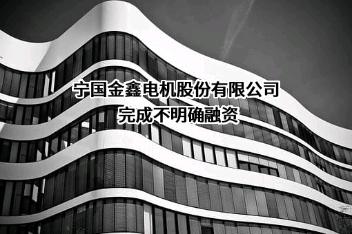 宁国金鑫电机股份有限公司