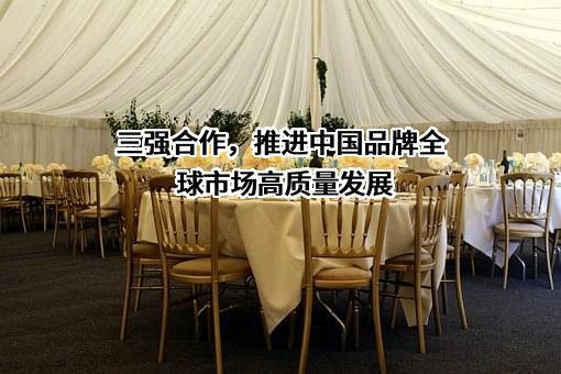 深圳迈瑞生物医疗电子股份有限公司
