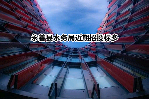 永善县水务局