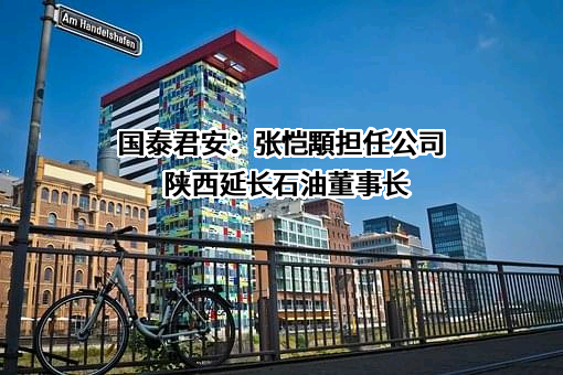 国泰君安证券股份有限公司