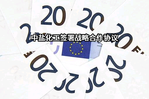 中盐内蒙古化工股份有限公司