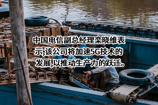 中国电信集团有限公司