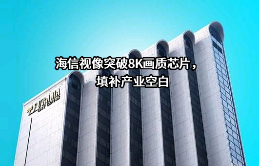 海信视像科技股份有限公司
