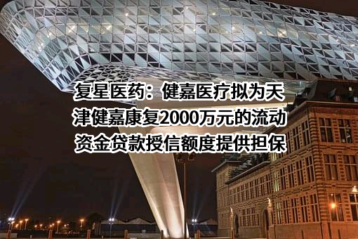 健嘉医疗投资管理有限公司