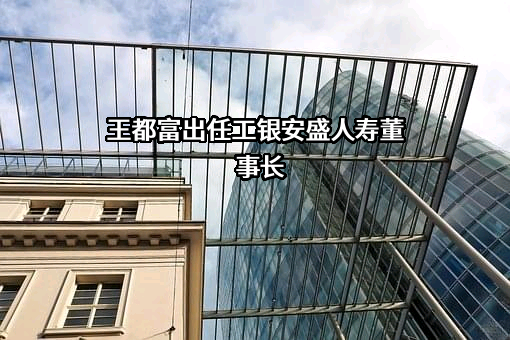 工银安盛人寿保险有限公司