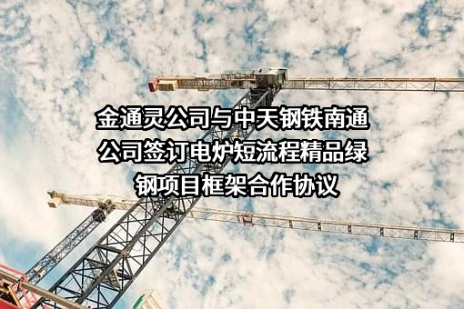 中天钢铁集团（南通）有限公司