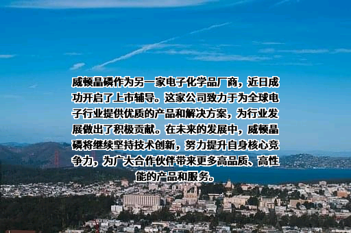 贵州威顿晶磷电子材料股份有限公司