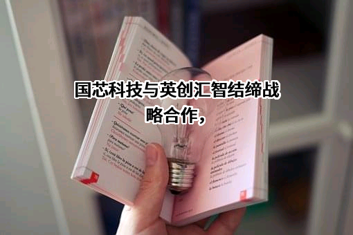 苏州国芯科技股份有限公司