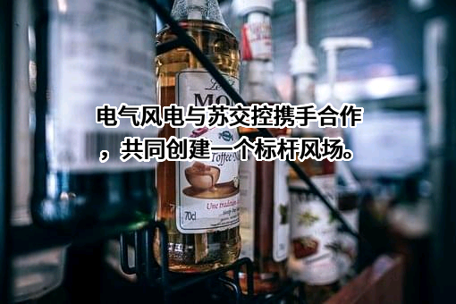 上海电气风电集团股份有限公司