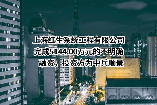 上海红生系统工程有限公司