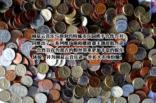 杭州网易云音乐科技有限公司