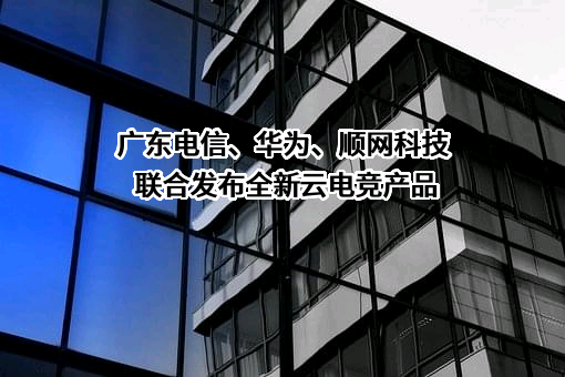 杭州顺网科技股份有限公司