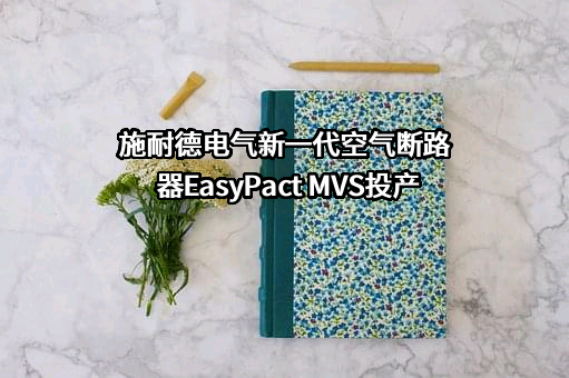施耐德电气（中国）有限公司