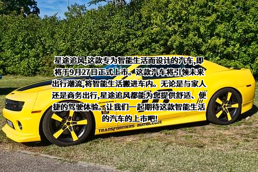 沈阳市星途汽车服务有限公司