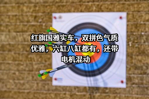 一汽红旗汽车销售有限公司