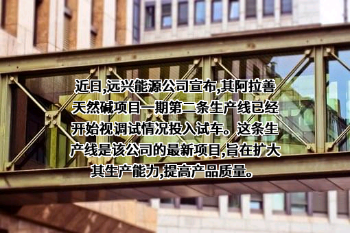 内蒙古远兴能源股份有限公司