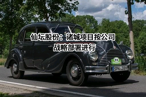 山东仙坛股份有限公司