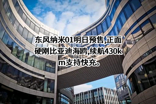 比亚迪股份有限公司