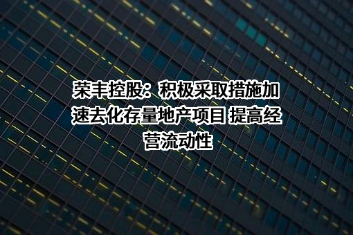 荣丰控股集团股份有限公司