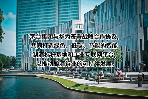 华为技术有限公司