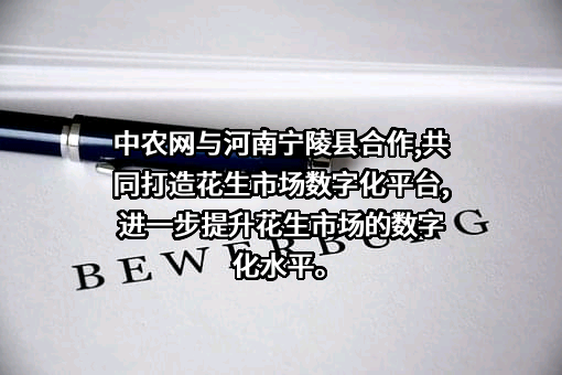 深圳市中农网有限公司