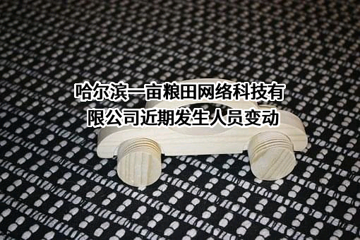 哈尔滨一亩粮田网络科技有限公司
