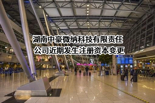 湖南中豪微纳科技有限责任公司