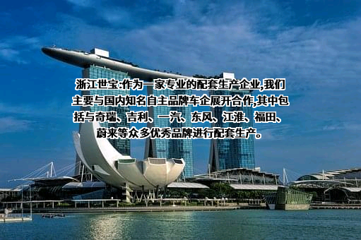 浙江世宝股份有限公司