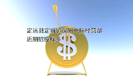 定远县定城镇深阳电脑经营部近期招投标项目多