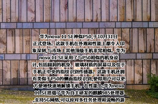 华为技术有限公司