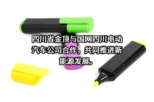 四川金顶（集团）股份有限公司
