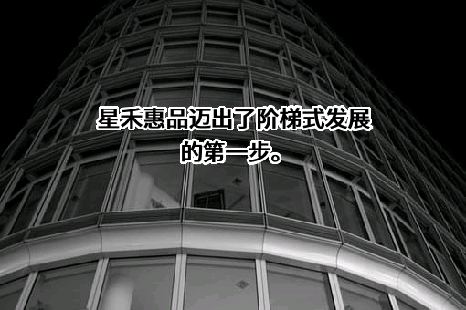 华为技术有限公司